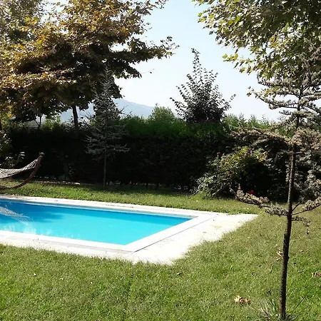 Fulya * Sapanca