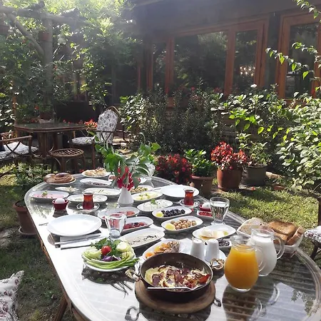 Fulya * Sapanca